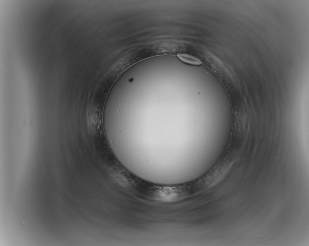 X0000116140091200911301529