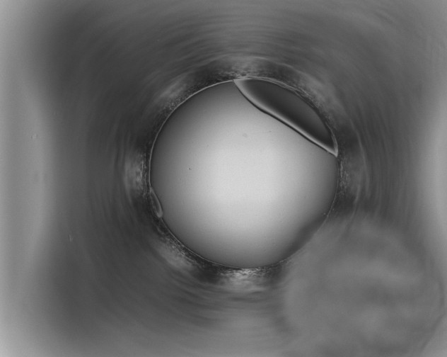 X0000116140092200911301529