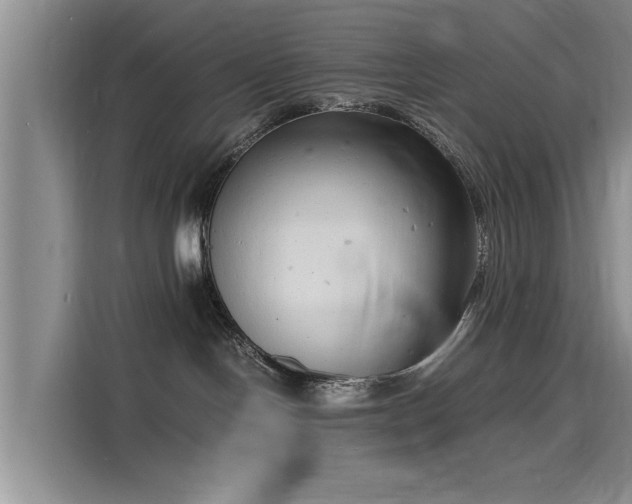 X0000116140094200911301529