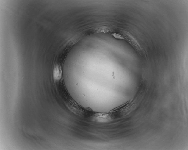 X0000116140095200911301529