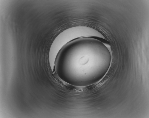 X0000116140096200911301529