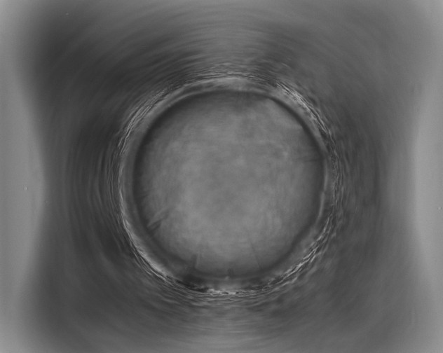 X0000116140097200911301529