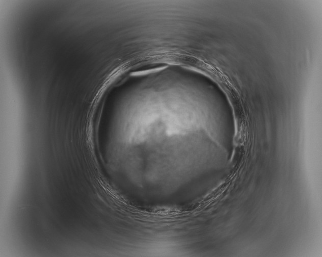 X0000116140099200911301529