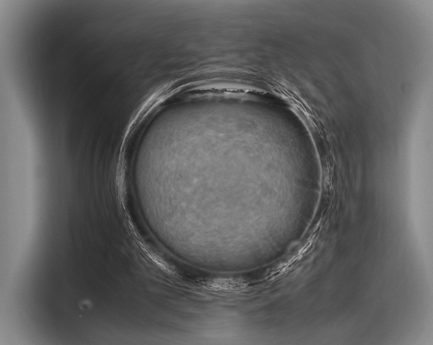 X0000116140101200911301529