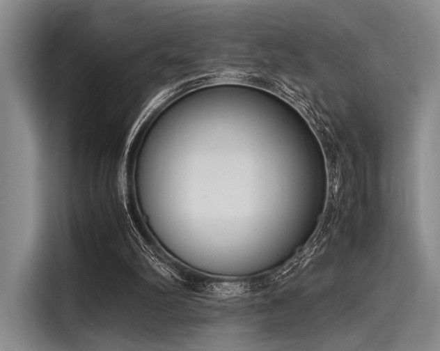 X0000116140102200911301529