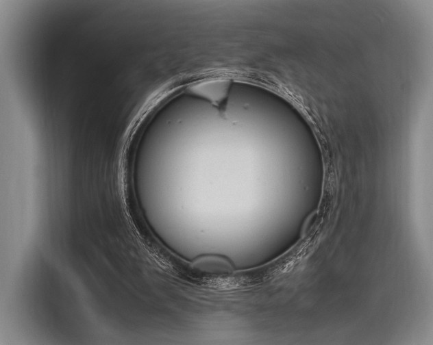 X0000116140103200911301529