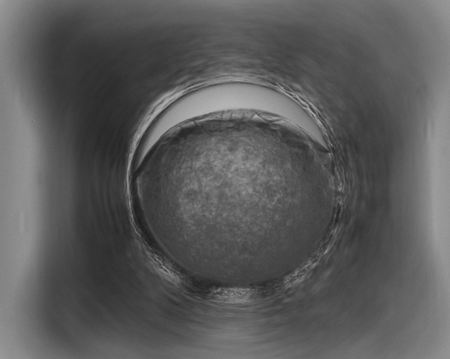 X0000116140104200911301528