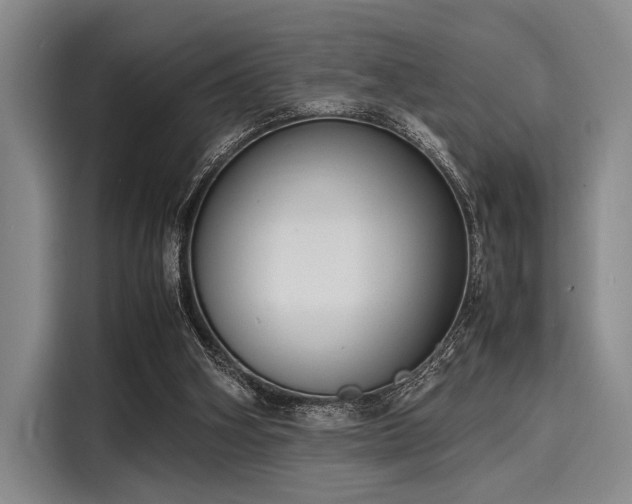 X0000116140106200911301528