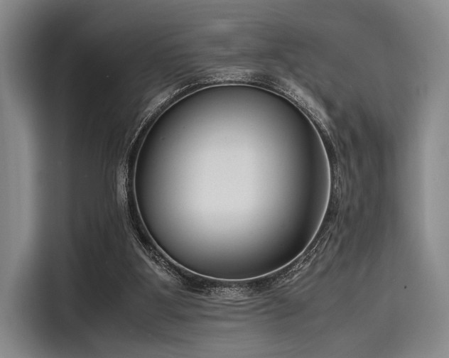 X0000116140107200911301528