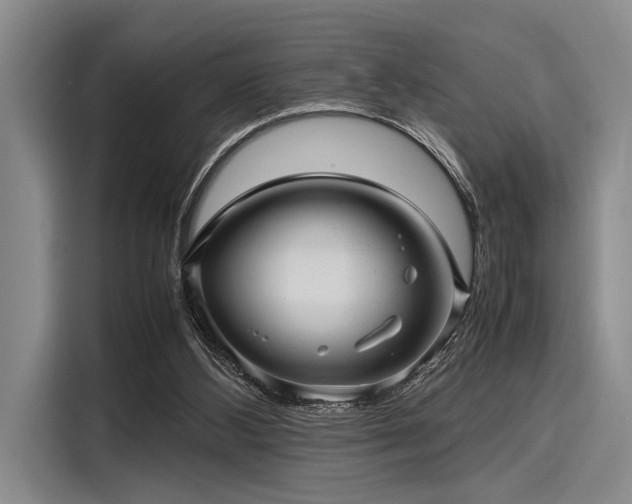 X0000116140108200911301528