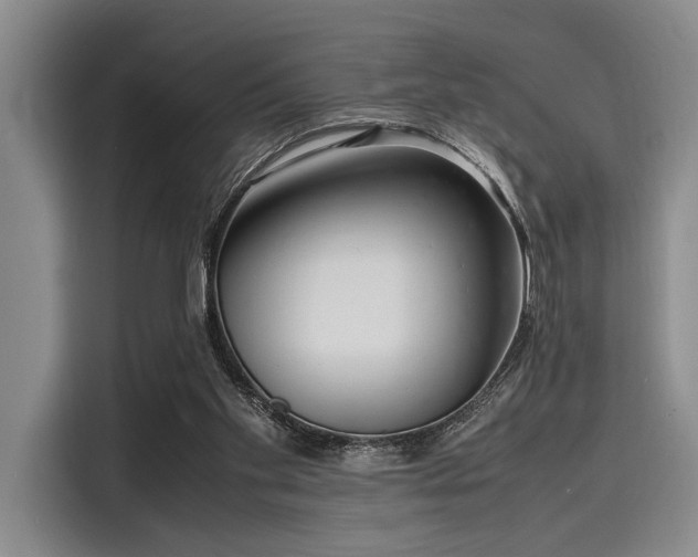 X0000116140109200911301528