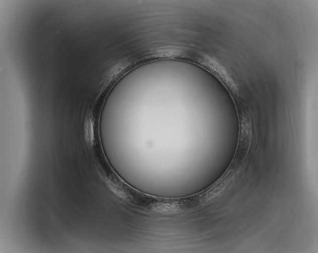 X0000116140110200911301528