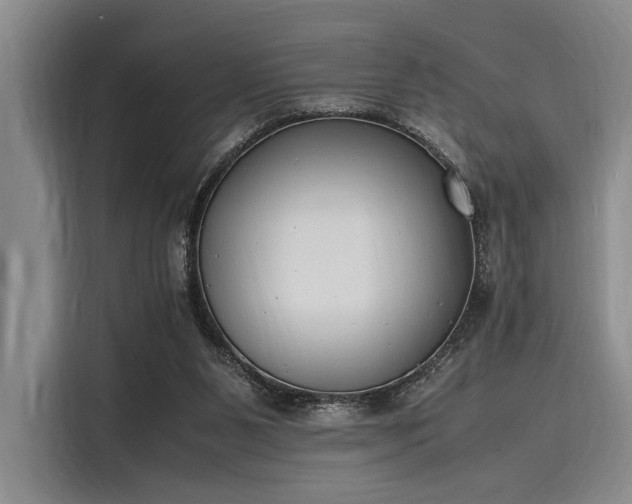 X0000116140111200911301528