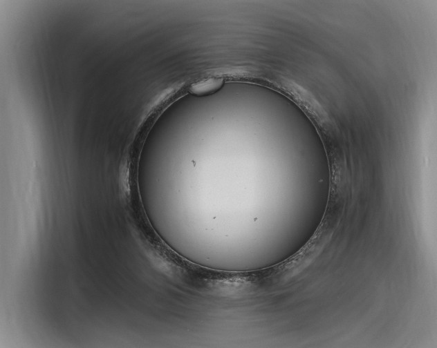 X0000116140112200911301528