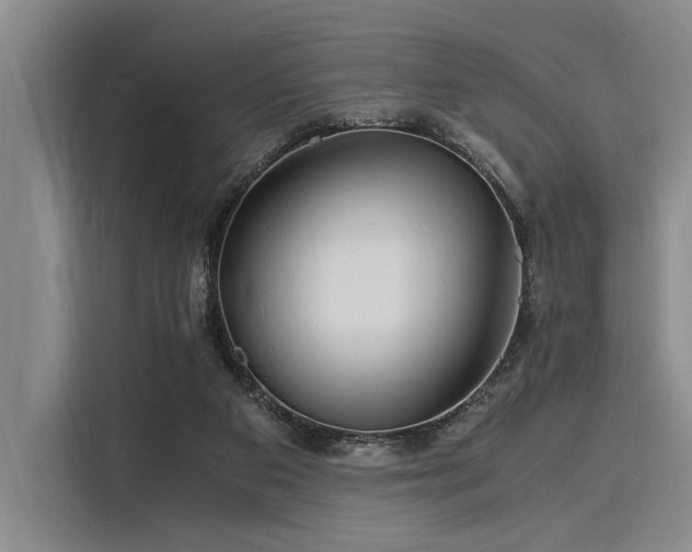 X0000116140113200911301528