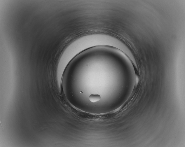 X0000116140116200911301528