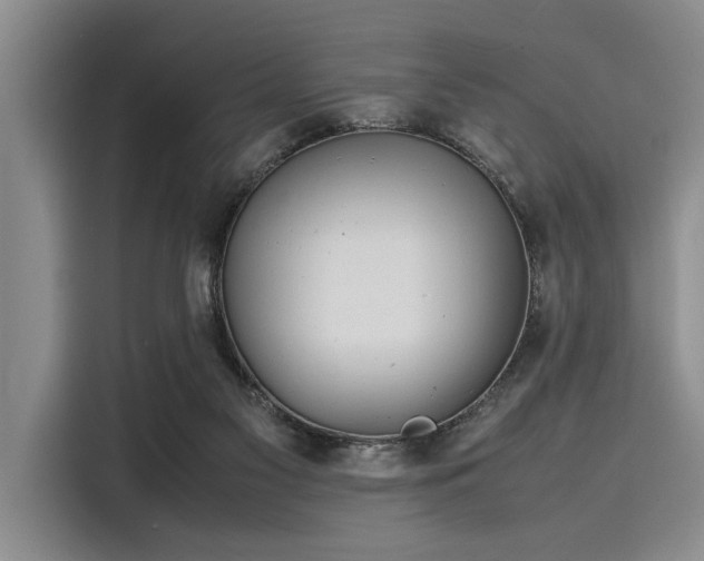 X0000116140117200911301528