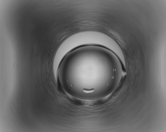 X0000116140121200911301528