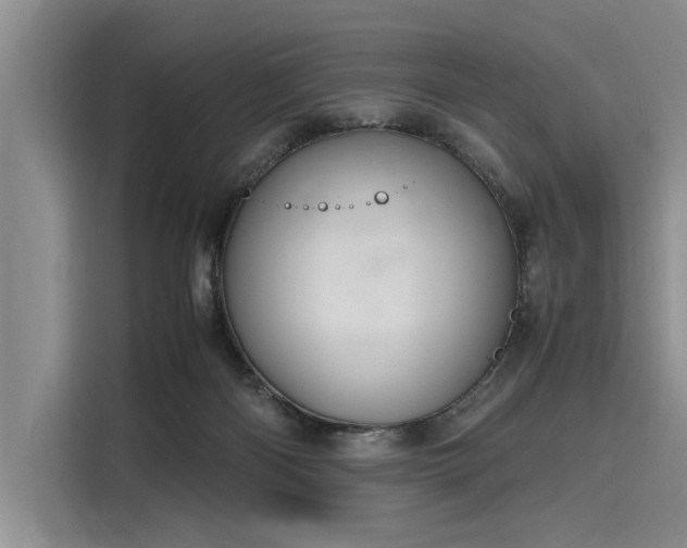 X0000116140122200911301528