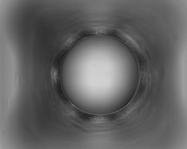 X0000116140123200911301528