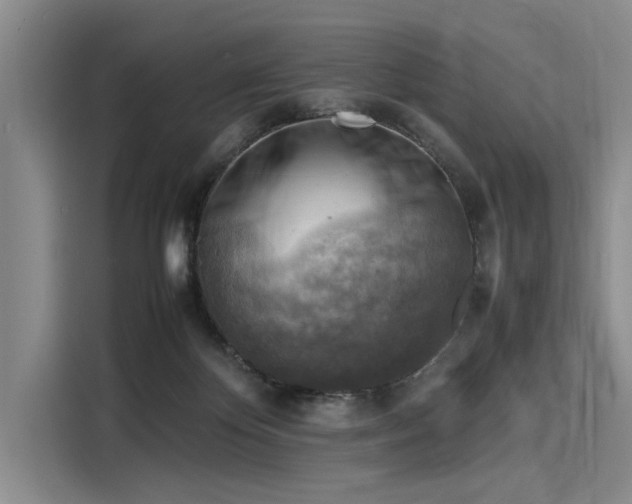 X0000116140124200911301528