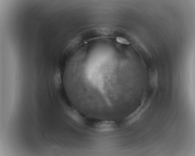 X0000116140128200911301528