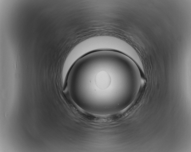 X0000116140129200911301528