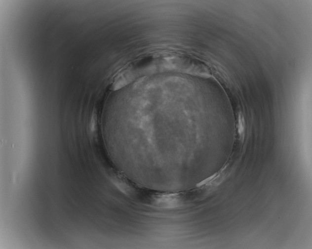 X0000116140132200911301528