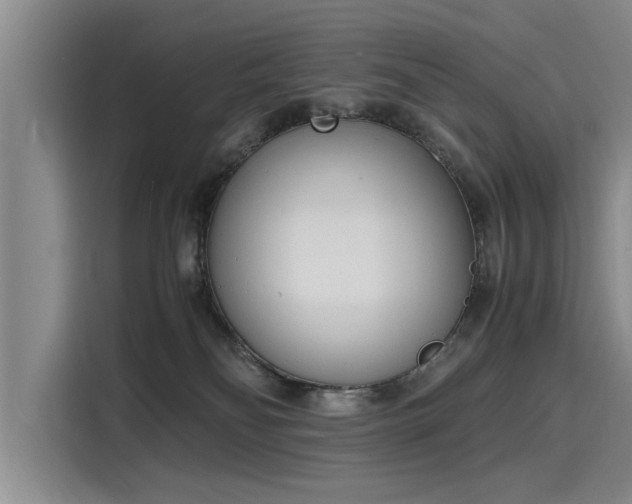 X0000116140134200911301528