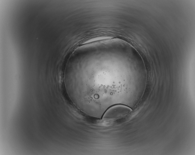 X0000116140135200911301528