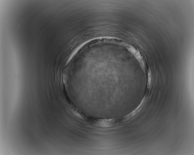 X0000116140136200911301528