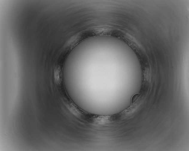 X0000116140138200911301528