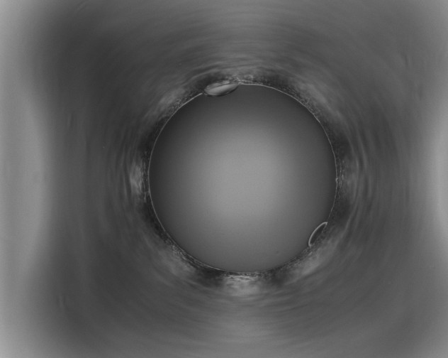 X0000116140139200911301528