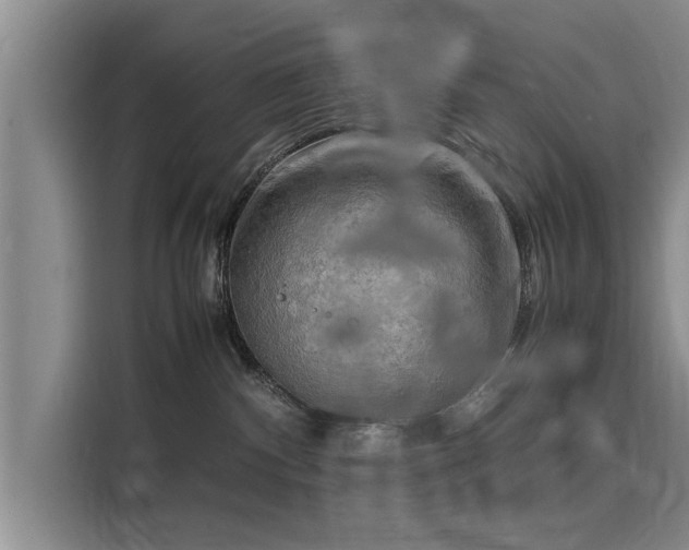 X0000116140140200911301528