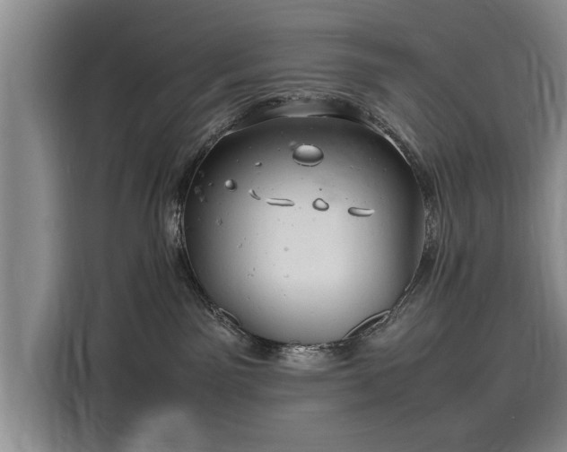 X0000116140141200911301528