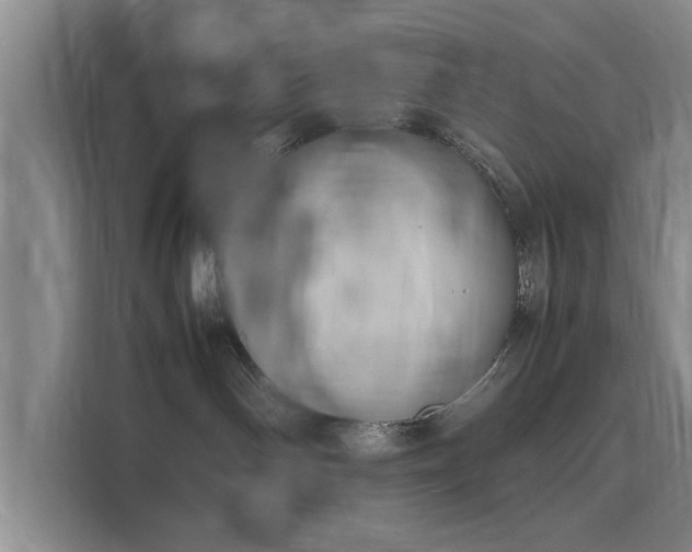 X0000116140142200911301528