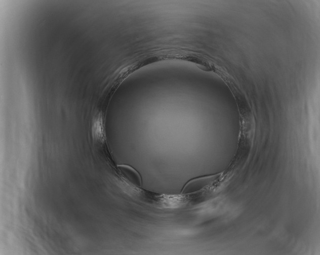 X0000116140143200911301528