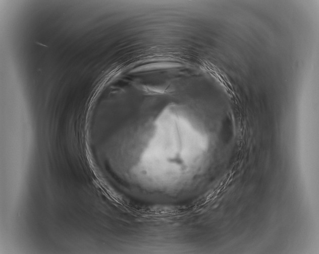 X0000116140145200911301527