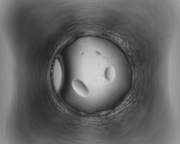 X0000116140146200911301527