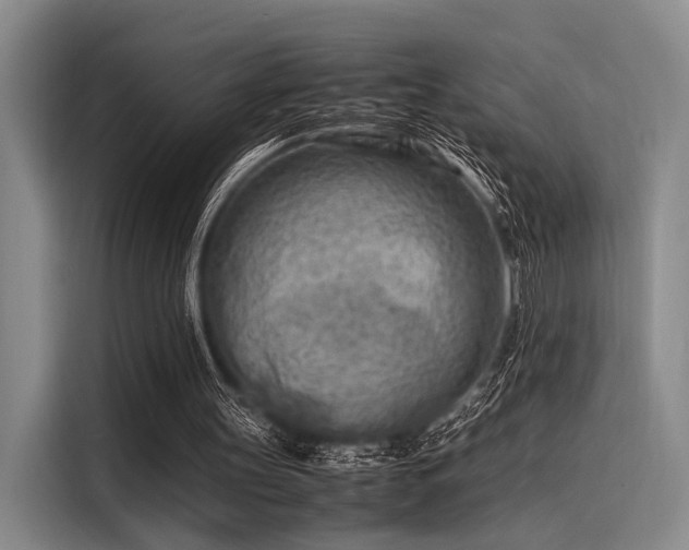 X0000116140147200911301527