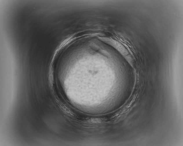 X0000116140149200911301527