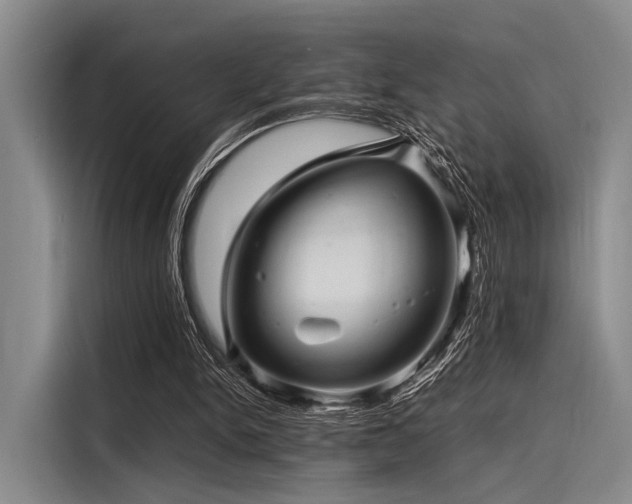 X0000116140150200911301527