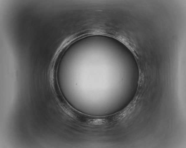 X0000116140151200911301527