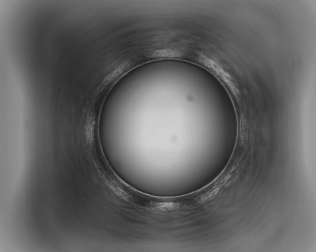 X0000116140153200911301527