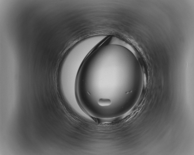 X0000116140154200911301527