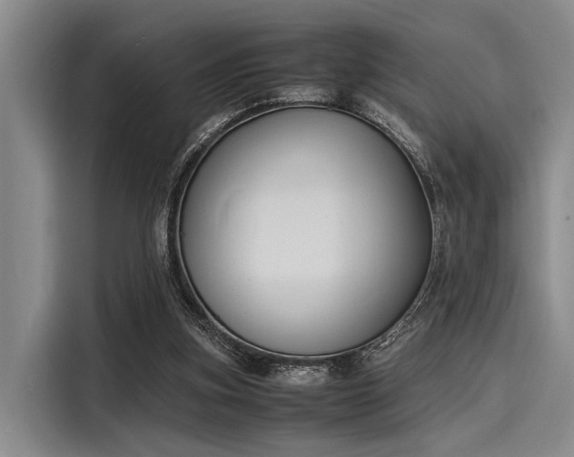 X0000116140155200911301527