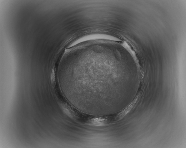 X0000116140158200911301528