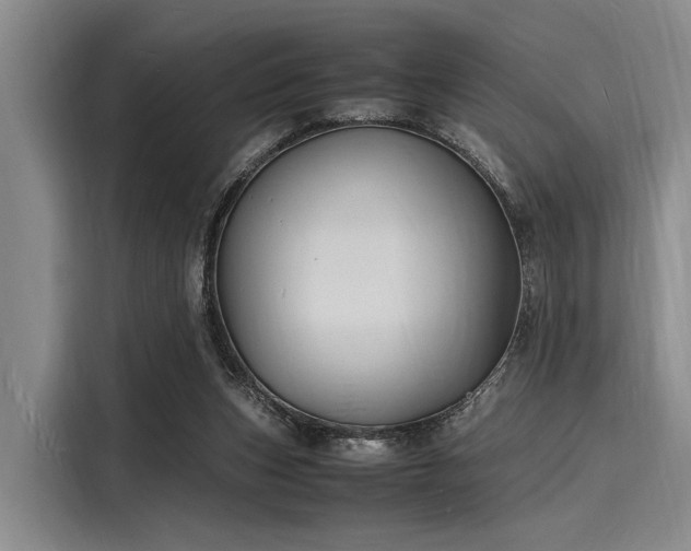 X0000116140159200911301528