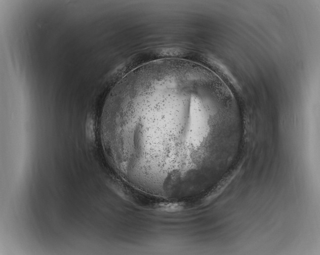 X0000116140161200911301528