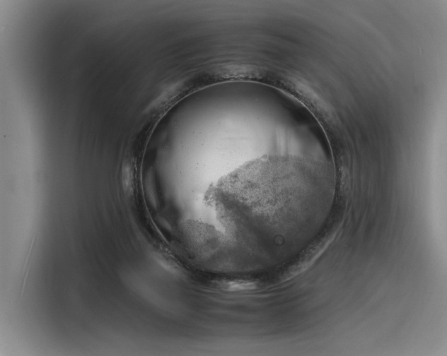 X0000116140165200911301528